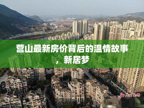 公司环境 第477页
