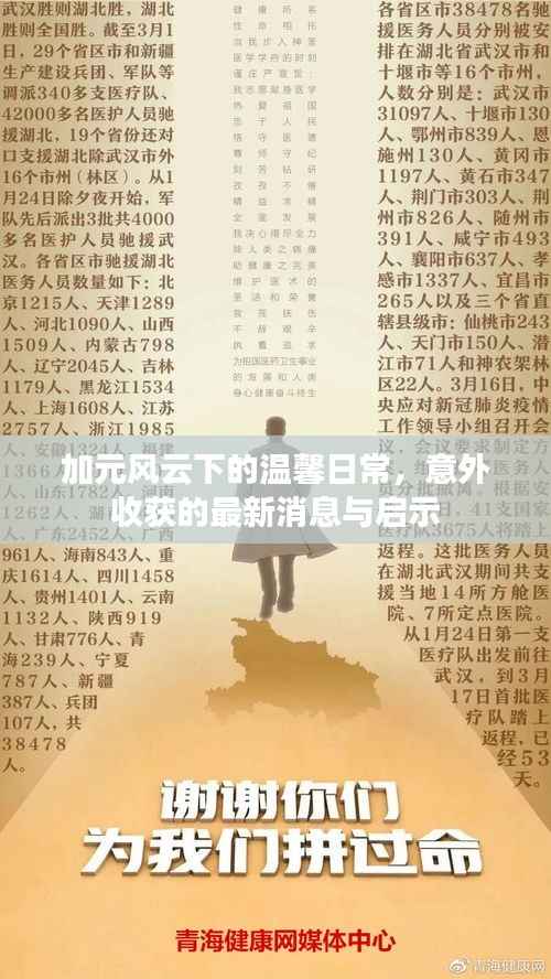 加元风云下的温馨日常,意外收获的最新消息与启示