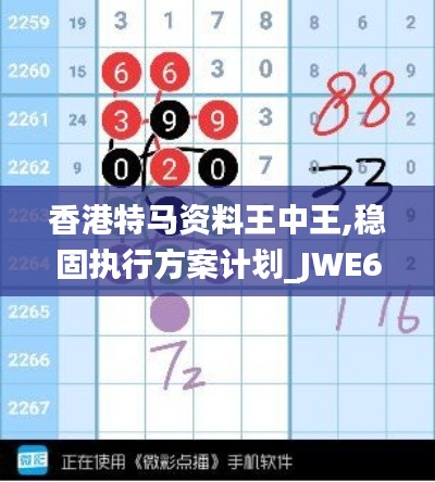 香港特马资料王中王,稳固执行方案计划_JWE60.552传达版