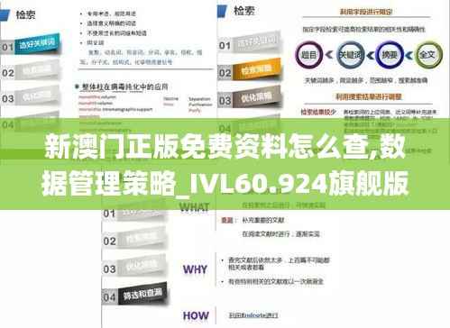 新澳门正版免费资料怎么查,数据管理策略_IVL60.924旗舰版