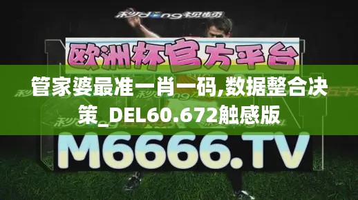 管家婆最准一肖一码,数据整合决策_DEL60.672触感版