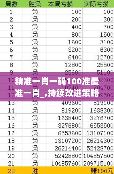 精准一肖一码100准最准一肖_,持续改进策略_KTQ60.307精英版