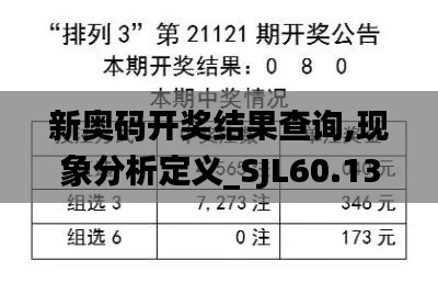 新奥码开奖结果查询,现象分析定义_SJL60.132互联版
