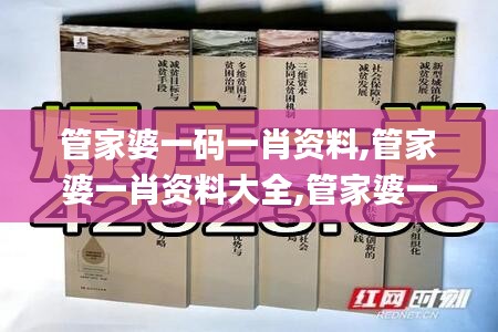 管家婆一码一肖资料,管家婆一肖资料大全,管家婆一码一肖最准资料最完整,2023,创新发展策略_RNI60.557便携版