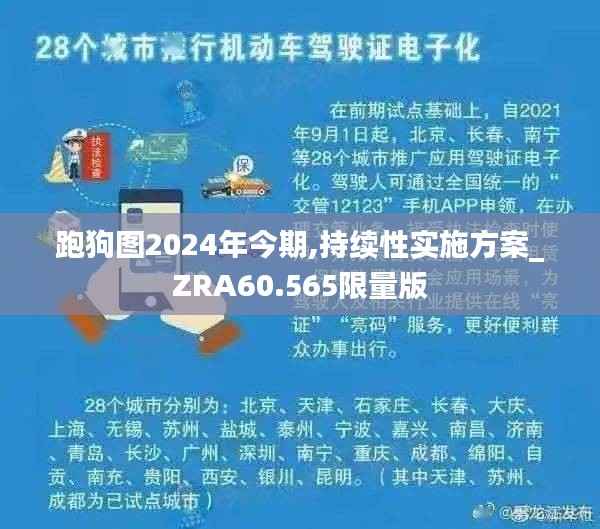 跑狗图2024年今期,持续性实施方案_ZRA60.565限量版