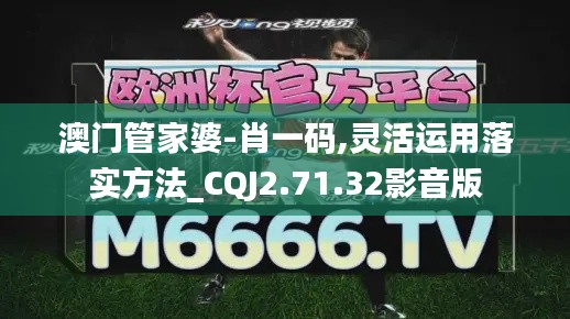 澳门管家婆-肖一码,灵活运用落实方法_CQJ2.71.32影音版