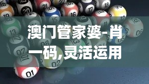 澳门管家婆-肖一码,灵活运用落实方法_CQJ2.71.32影音版