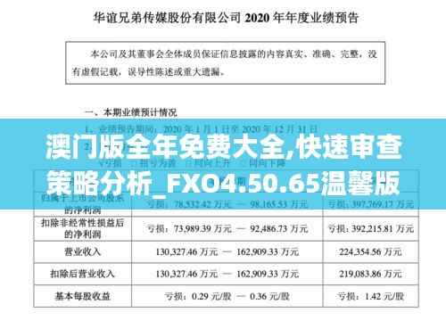 澳门版全年免费大全,快速审查策略分析_FXO4.50.65温馨版