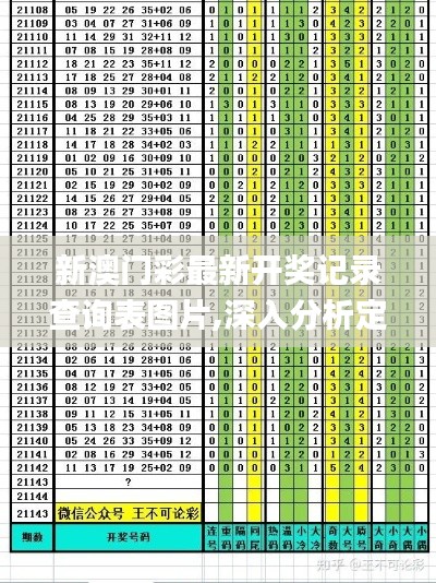 新澳门彩最新开奖记录查询表图片,深入分析定义策略_DTV7.42.60活现版