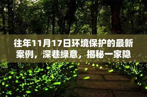 揭秘隐藏小巷的环保先锋特色小店,深巷绿意环保行动最新案例揭秘(往年11月17日)