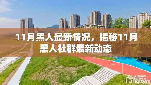 揭秘11月黑人社群最新动态,最新情况一览