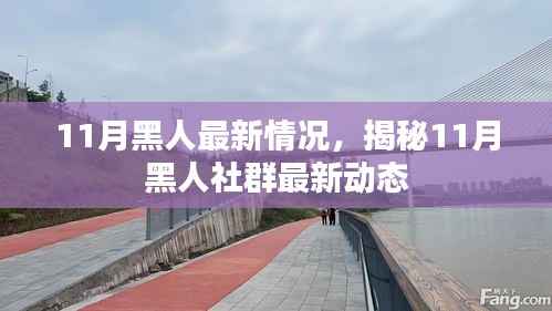 揭秘11月黑人社群最新动态,最新情况一览