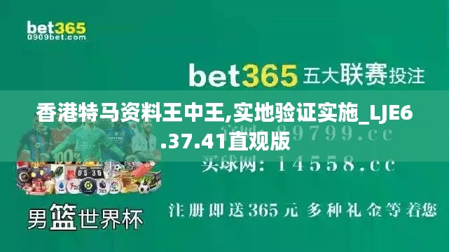 香港特马资料王中王,实地验证实施_LJE6.37.41直观版