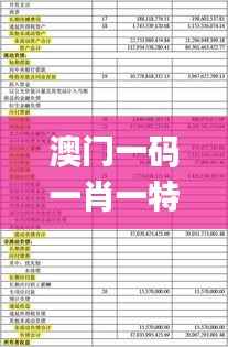 澳门一码一肖一特一中管家婆,财务解析方案_HPU7.48.29运动版