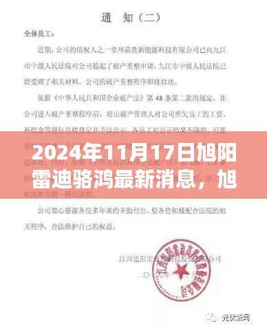 旭阳雷迪骆鸿2024年11月最新进展与策略报告,聚焦骆鸿的最新动态和发展方向