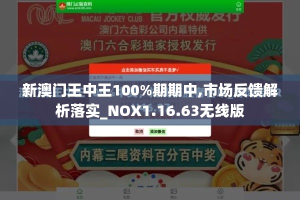 新澳门王中王100%期期中,市场反馈解析落实_NOX1.16.63无线版