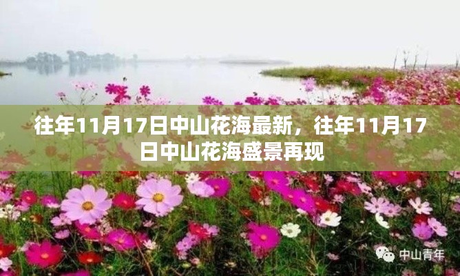 中山花海盛景再现,历年11月17日最新花海盛况欣赏