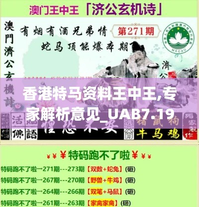 香港特马资料王中王,专家解析意见_UAB7.19.48养生版