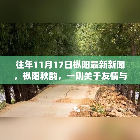 枞阳秋韵，友情与陪伴的温馨故事——最新本地新闻（往年1月17日）