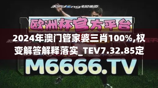 2024年澳门管家婆三肖100%,权变解答解释落实_TEV7.32.85定制版