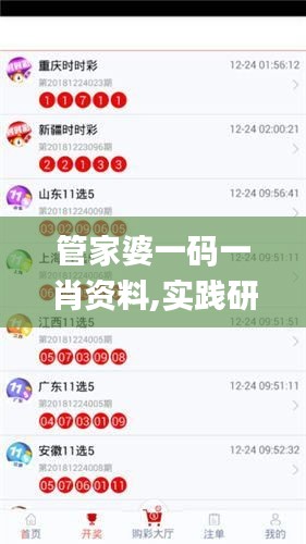管家婆一码一肖资料,实践研究解答解释路径_MHL1.45.31配送版