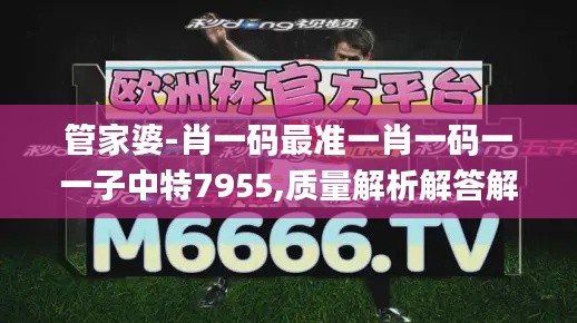 管家婆-肖一码最准一肖一码一一子中特7955,质量解析解答解释策略_BZL3.22.93教育版