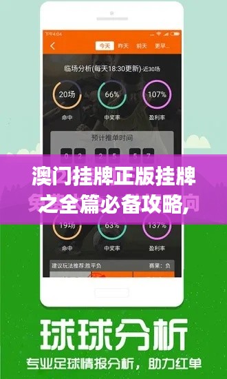 澳门挂牌正版挂牌之全篇必备攻略,决策资料解析说明_DLB9.72.64精致版