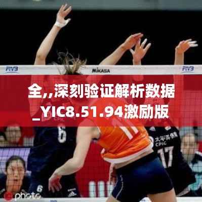 全,,深刻验证解析数据_YIC8.51.94激励版