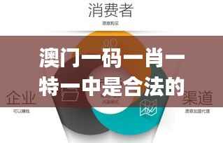 澳门一码一肖一特一中是合法的吗,动态分析解答解释策略_IRG6.75.66资源版