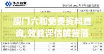 澳门六和免费资料查询,效益评估解答落实_LCU5.48.62快速版