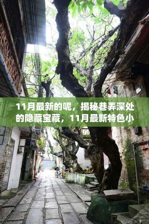 揭秘巷弄深处的隐藏宝藏,11月最新特色小店探秘之旅