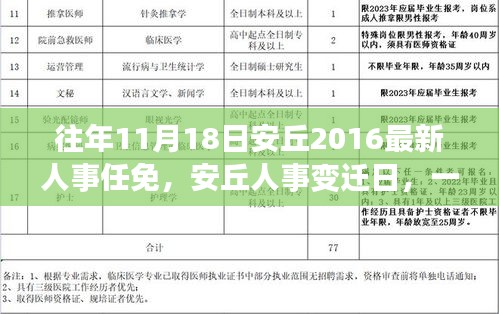 往年11月18日安丘2016最新人事任免，安丘人事变迁日，一场温馨的友情派对