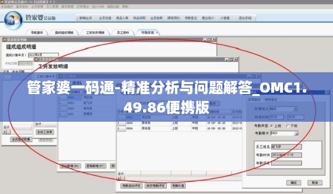 管家婆一码通-精准分析与问题解答_OMC1.49.86便携版