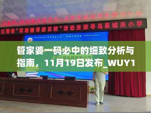 管家婆一码必中的细致分析与指南,11月19日发布_WUY1.12.71限量版