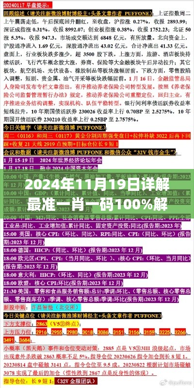 2024年11月19日详解最准一肖一码100%解析与原因分析_WBW9.69.37敏捷版