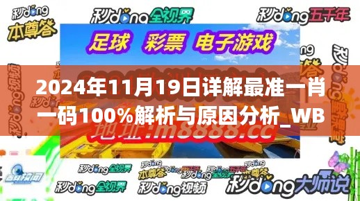 2024年11月19日详解最准一肖一码100%解析与原因分析_WBW9.69.37敏捷版