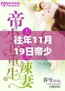 往年11月19日帝少的私宠暖妻最新章节回顾与解析,深情宠溺再现!