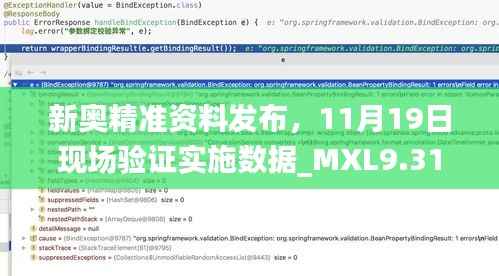 新奥精准资料发布,11月19日现场验证实施数据_MXL9.31.35自由版