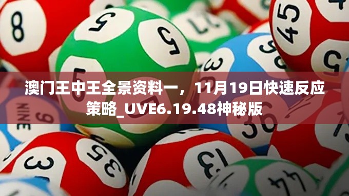 澳门王中王全景资料一,11月19日快速反应策略_UVE6.19.48神秘版