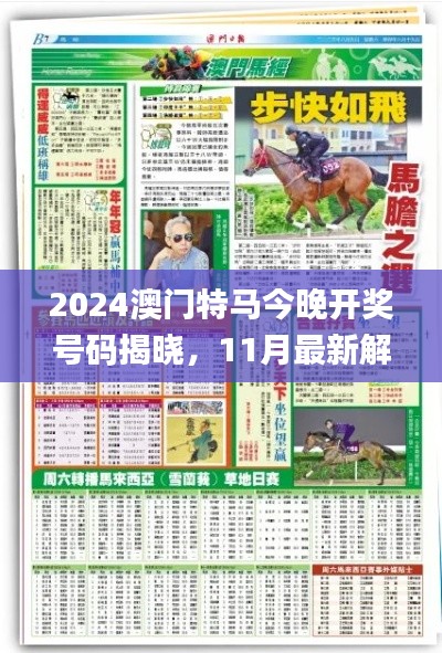 2024澳门特马今晚开奖号码揭晓,11月最新解读与实施_NZI6.53.92采购版