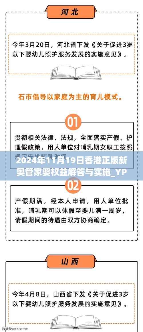 2024年11月19日香港正版新奥管家婆权益解答与实施_YPW2.49.56动感版
