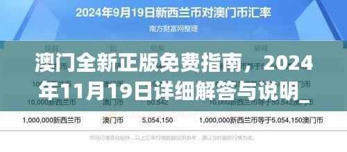 澳门全新正版免费指南,2024年11月19日详细解答与说明_BRS6.25.62互动版