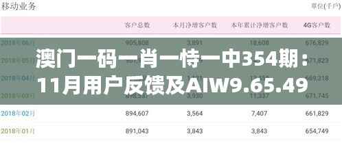 澳门一码一肖一恃一中354期:11月用户反馈及AIW9.65.49定制版落实情况