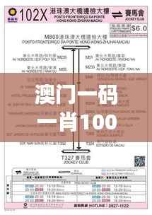 澳门一码一肖100%准确性研究及解答路径解析——SWY1.70.85跨平台版