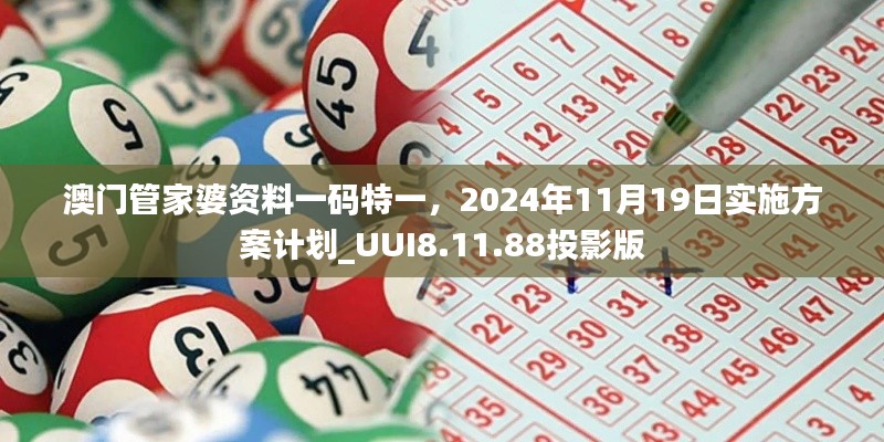 澳门管家婆资料一码特一,2024年11月19日实施方案计划_UUI8.11.88投影版