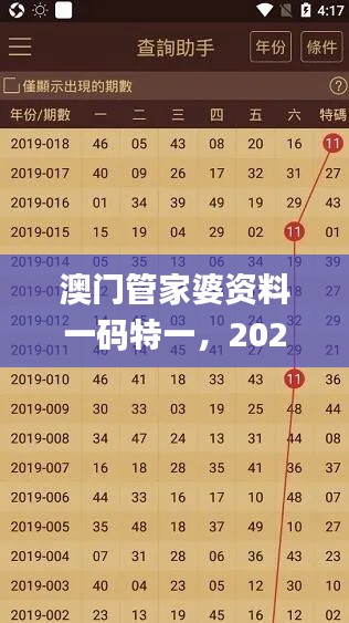 澳门管家婆资料一码特一,2024年11月19日实施方案计划_UUI8.11.88投影版