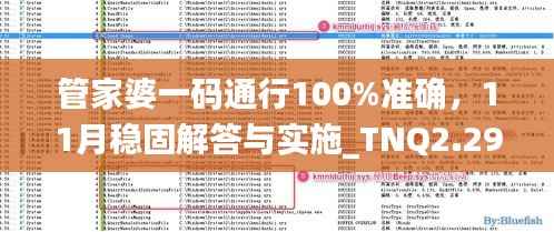 管家婆一码通行100%准确,11月稳固解答与实施_TNQ2.29.42静默版