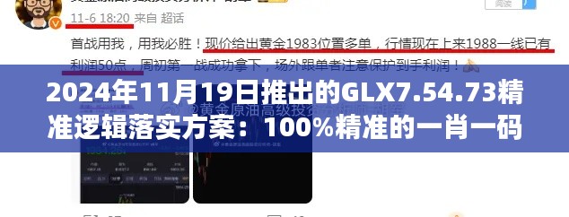 2024年11月19日推出的GLX7.54.73精准逻辑落实方案:100%精准的一肖一码软件