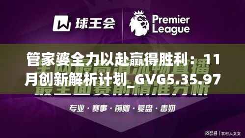 管家婆全力以赴赢得胜利:11月创新解析计划_GVG5.35.97并发版本