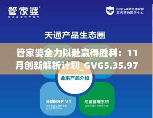 管家婆全力以赴赢得胜利:11月创新解析计划_GVG5.35.97并发版本